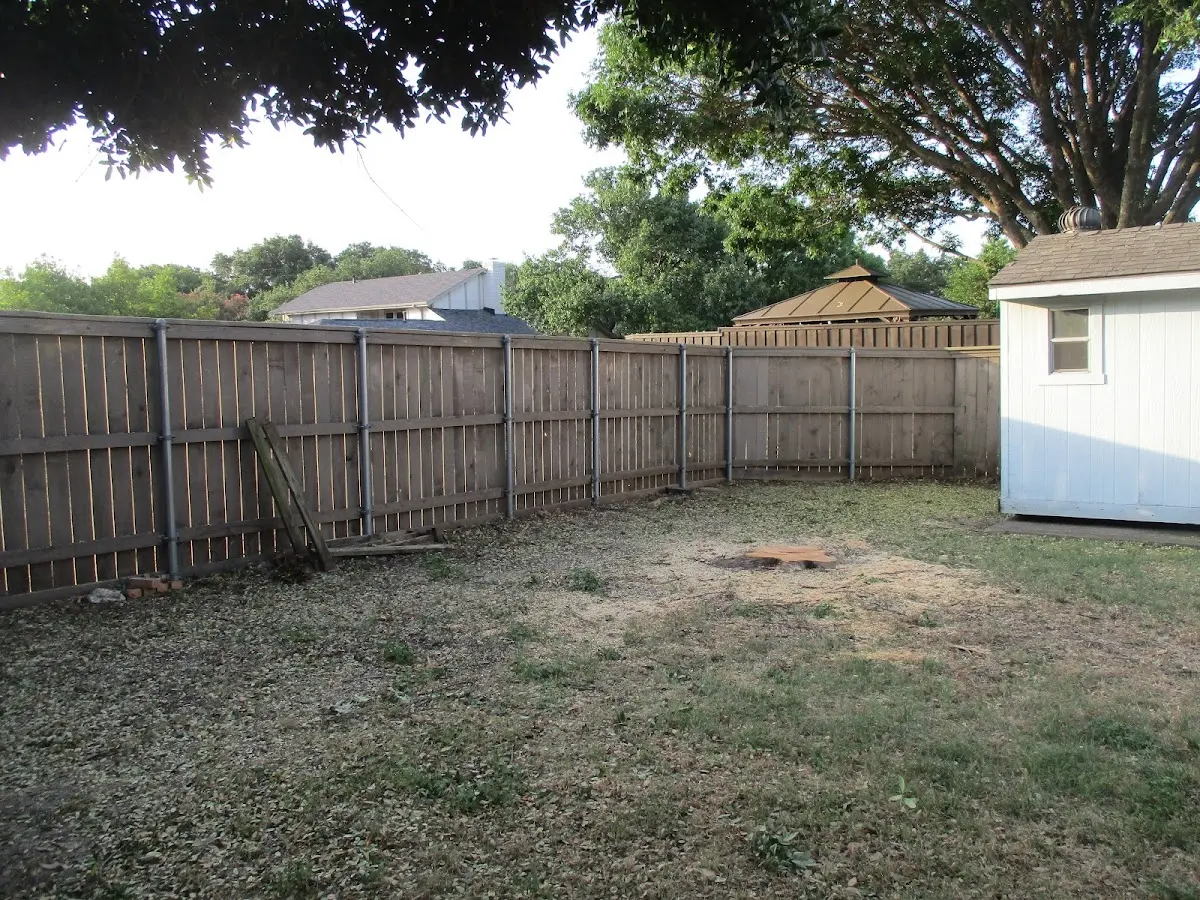 Cleared yard after professional tree removal in Roby